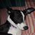 Sarah Beth Shults's profile image