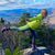 Carolyn Wilber's profile image