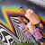 Krissy Arbenowske Elsesser's profile image