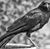 John Zacheis's profile image