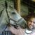 Genaro Jimenez's profile image