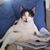 Kathy Brown's profile image