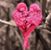 Dixie Kuhn-D'Aquilla's profile image
