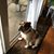 Susan Richards's profile image