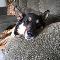 William Dunn's profile image