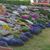 Indira Singh's profile image