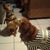 Lorraine Dominguez's profile image
