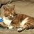 Helena Rattray's profile image