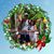 Antoinette D'Amico's profile image