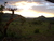 Dawn A.'s profile image