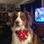 Larry Sandvig's profile image