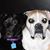 Shawna Wendt's profile image