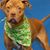 Rose Adkins's profile image