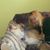 Christine Gofmanas's profile image