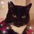 Lynn Layman's profile image
