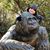 Crystal Hamrick-Wiesner's profile image