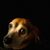 Ramona Savage Martin's profile image