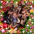 Debra Netherton Swafford's profile image
