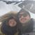 Cynthia Rivera Swearengin's profile image