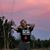 Baukje Talsma's profile image