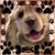 Debbie Demsky Probus's profile image