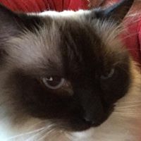 Kathleen Sarber Matthews's profile image