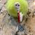 Mindy Rodgers Kern's profile image