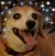 Jennifer Mitchell's profile image