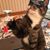 Deborah Bizub's profile image