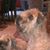 John Lippe's profile image