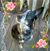 Rebecca Jensen Baker's profile image