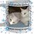 Susan Gaudio's profile image