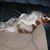 Frances Staunton's profile image