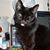 Kathy Worsey's profile image