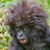 David Smith's profile image