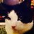 Vyan Zora's profile image