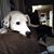 Melody Nelson Hoffman's profile image