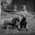 Linda McLendon's profile image