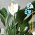 Becki Moore's profile image