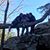 Maria Francisco Gonzalez's profile image