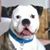 Raymond LeMay's profile image