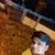 Prakash Thakor's profile image