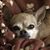 Jo Ann Hastings's profile image