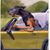 Patti Porter McCalister's profile image