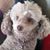 Julie Anderson's profile image