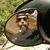 LR Hislop's profile image