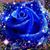 Judi Johnston Worden's profile image
