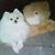 Tina Oester Burns's profile image