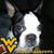 Donna Moore's profile image