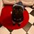 Amy Hansen's profile image